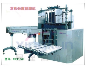 XKCP-02 automatic boxed product packing machine